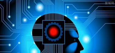 地球人網(wǎng)絡科技加盟投資金額十到二十